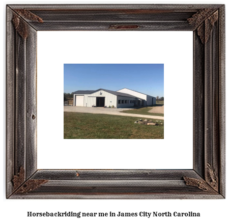 horseback riding near me in James City, North Carolina